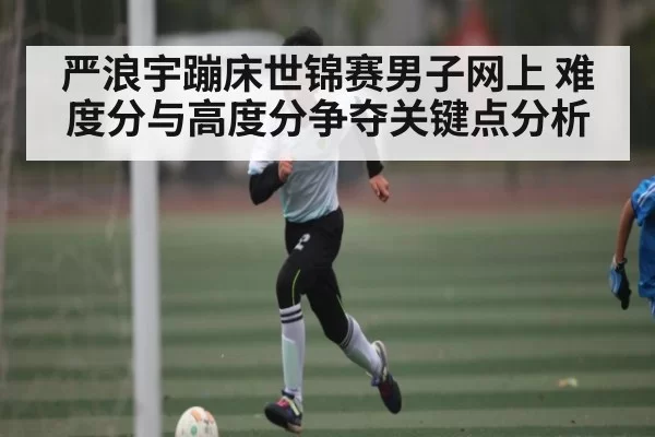 严浪宇蹦床世锦赛男子网上 难度分与高度分争夺关键点分析 - jjb